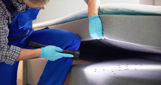 Best Pest Removal Services  in Graysville, TN