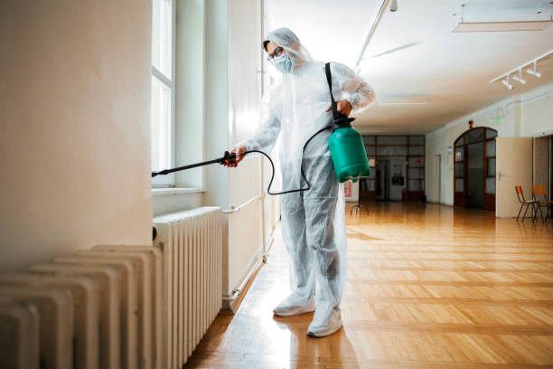 Best Emergency Pest Control  in Graysville, TN
